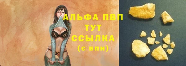 прущие крисы Аркадак