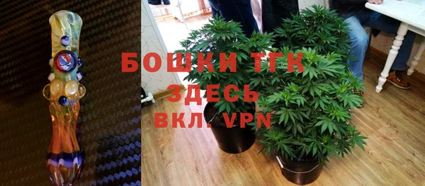 прущие крисы Аркадак