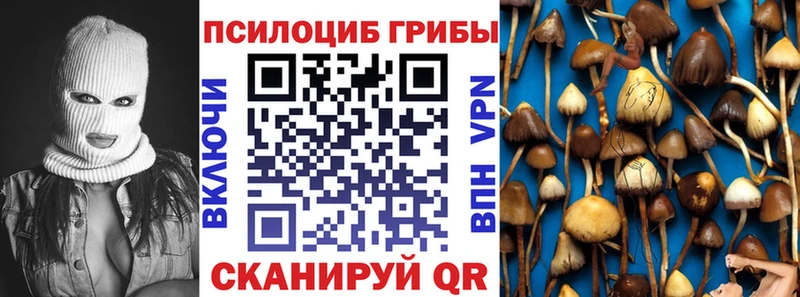 Псилоцибиновые грибы мицелий  Купить  Маркс 