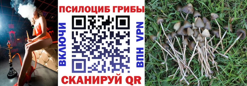 Псилоцибиновые грибы мицелий Маркс